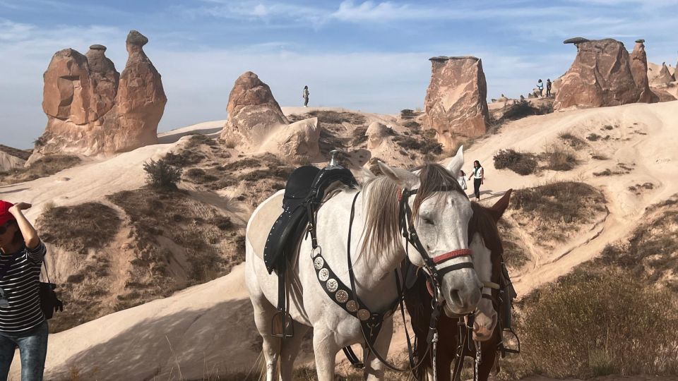 Private Istanbul to Cappadocia Odyssey: A 6-Days Journey - Last Words