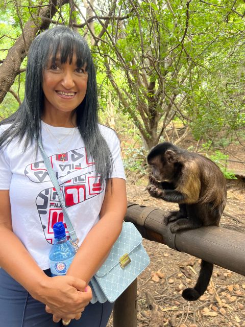 Private Johannesburg Elephant & Monkey Sanctuary Half Day - Common questions