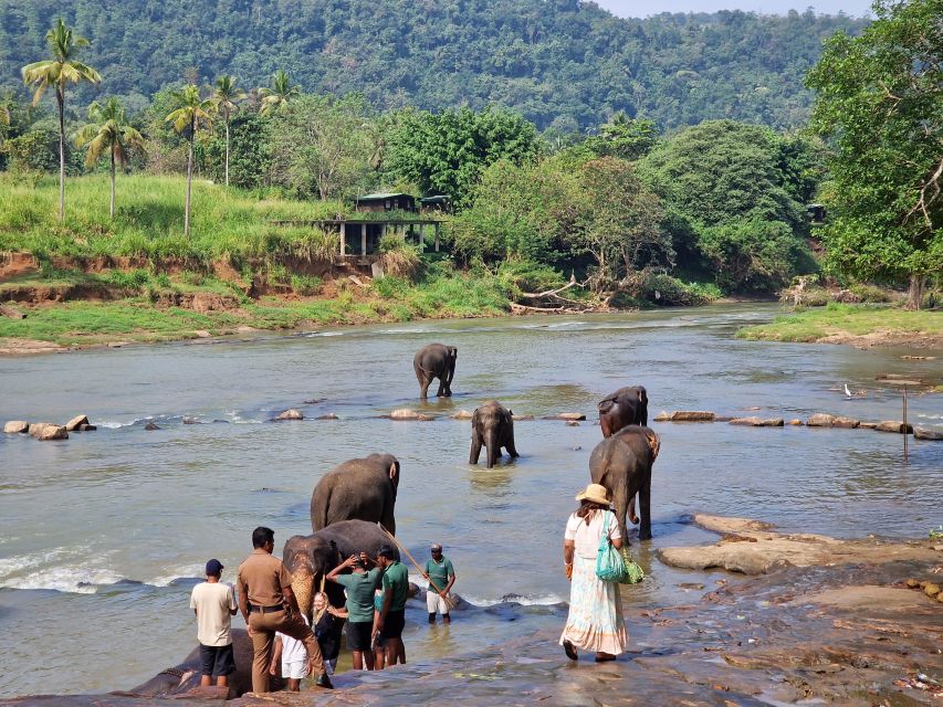 Private Kandy Pinnawala Day Tour From Bentota - Common questions