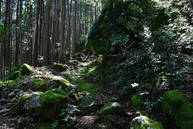 Private Spiritual Hike in Hidakamura With Mountain Monk - Last Words