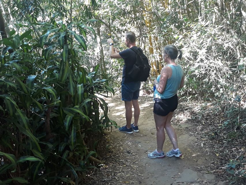 Private Tijuca Forest & Botanical Garden Guided Tour - Common questions