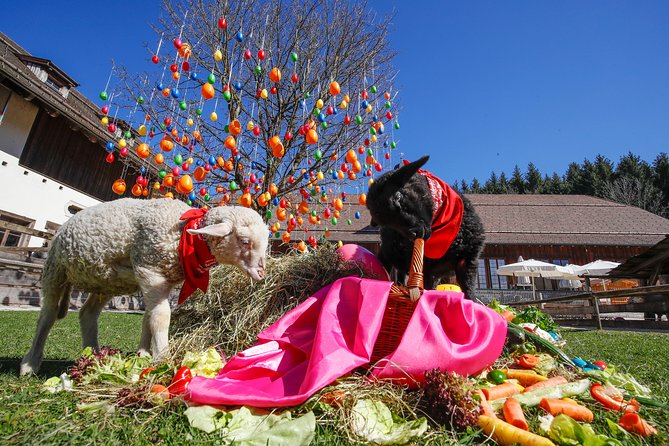 Private Tour to Aiderbichl Animal Welfare Centre From Salzburg - Cancellation Policy and Refund Details