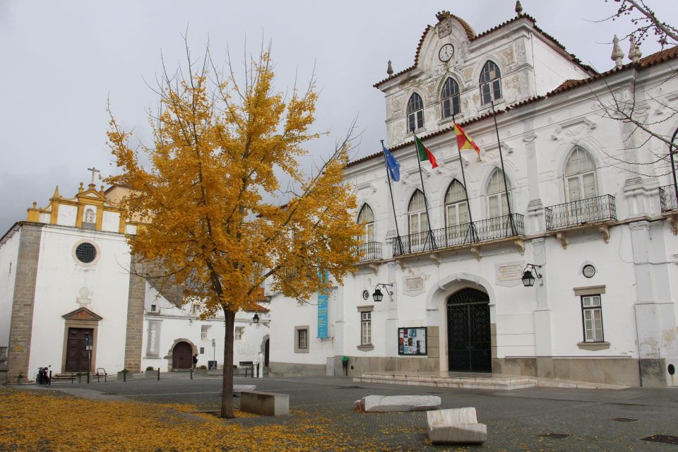 Private Tour to Évora and Alentejo With Wine Tasting - Common questions