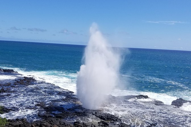 Private Waimea Canyon Tour - Positive Feedback and Recommendations