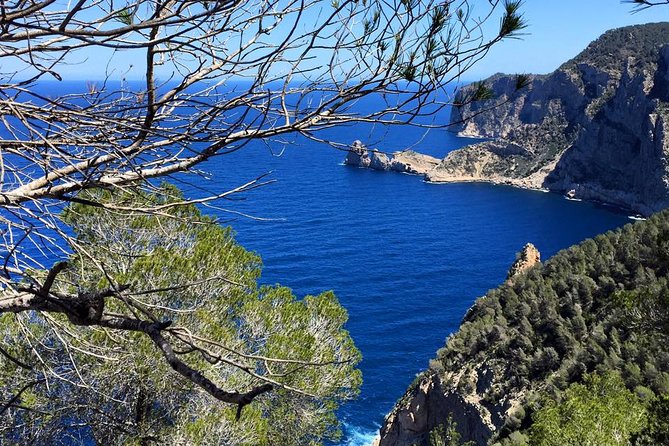 Private Walking & Hiking Experience Ibiza - Additional Information and Resources