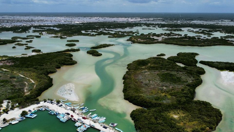 Progreso Island Swing and Pig Beach Club Day Pass - Last Words