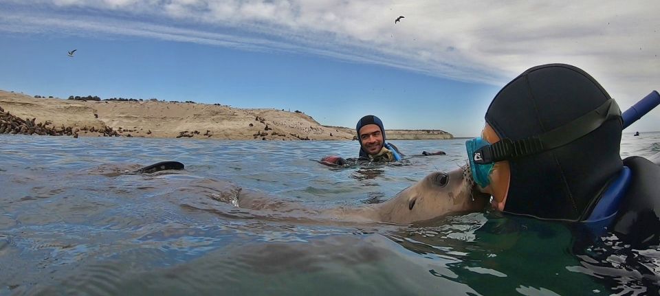 Puerto Madryn: 3-Hour Snorkeling Trip With Sea Lions - Small Group Limit and Services Offered