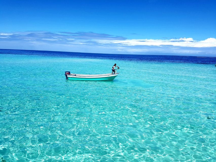 Puerto Plata: Day Trip to Cayo Arena Island by Speedboat - Last Words