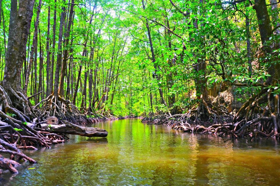 Puerto Princesa: Underground River, Zipline, Paddleboat Tour - Last Words