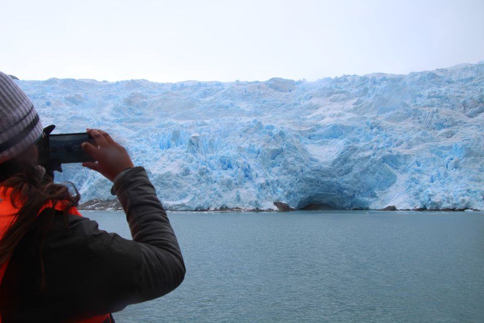 Punta Arenas: Full-Day Whales, Penguins, and Glaciers Tour - Last Words