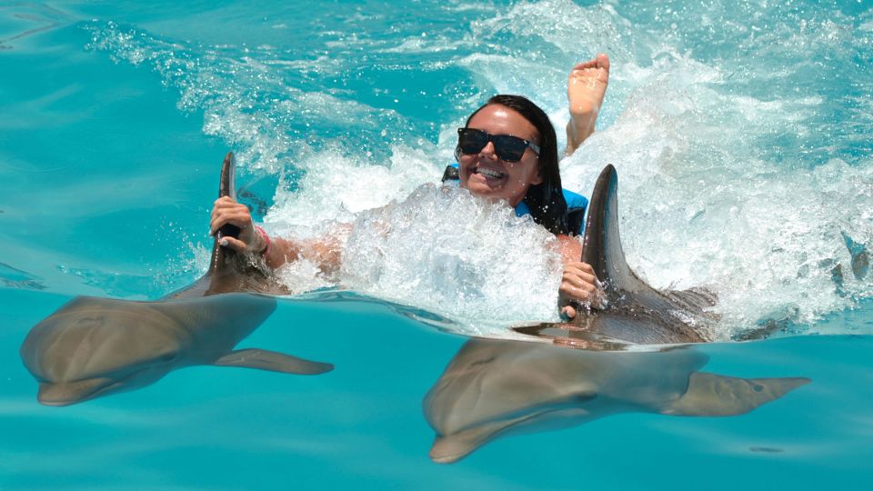 Punta Cana: Dolphin Discovery Swims and Encounters - Participant Group Details