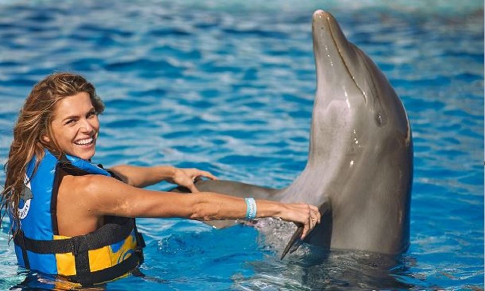 Punta Cana: Swim With Dolphins in the Pool - Last Words