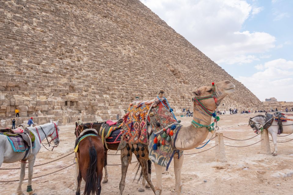 Pyramids, Museum, Khan Khalili Bazaar & Nile Dinner Cruise - Common questions