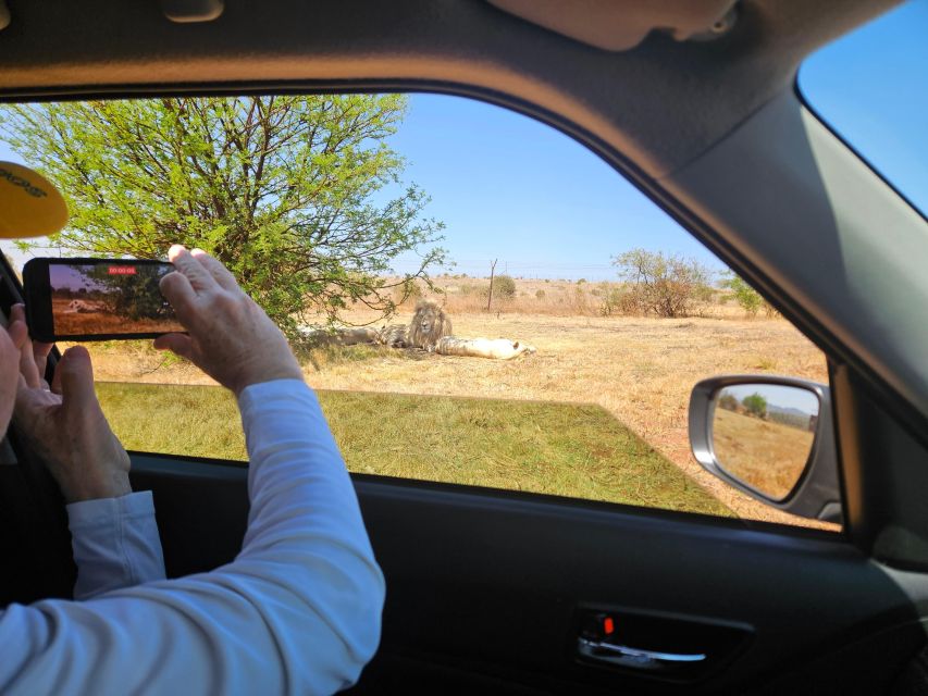 Rhino and Lion Park (Safari) and Cradle (Maropeng Museum) - How to Get There