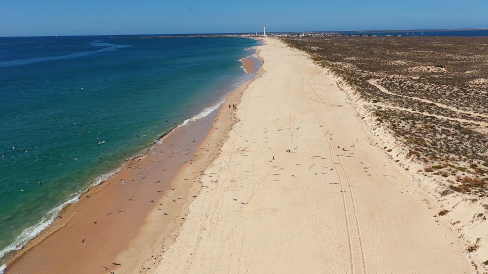 Ria Formosa: Armona and Culatra Islands Boat Tour - Last Words