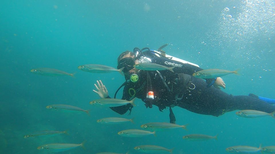 Rio De Janeiro: Arraial Do Cabo Scuba Diving Day Trip - Benefits of Booking This Scuba Diving Trip