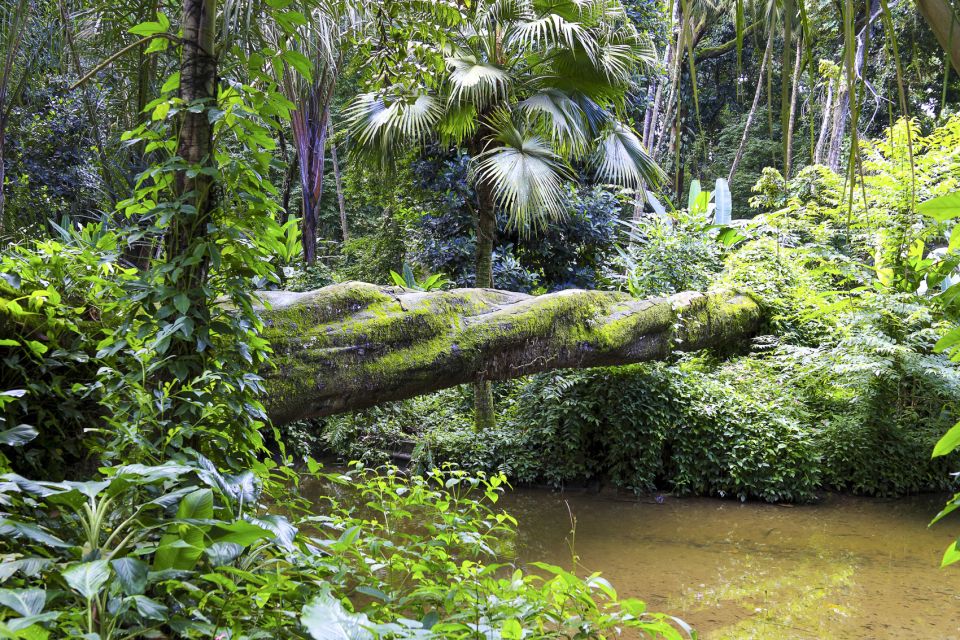 Rio: Half-Day Jeep Tour at Floresta Da Tijuca - Directions and Booking