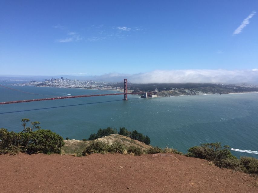 San Francisco: Private Muir Woods, Sausalito Half-Day Trip - Last Words