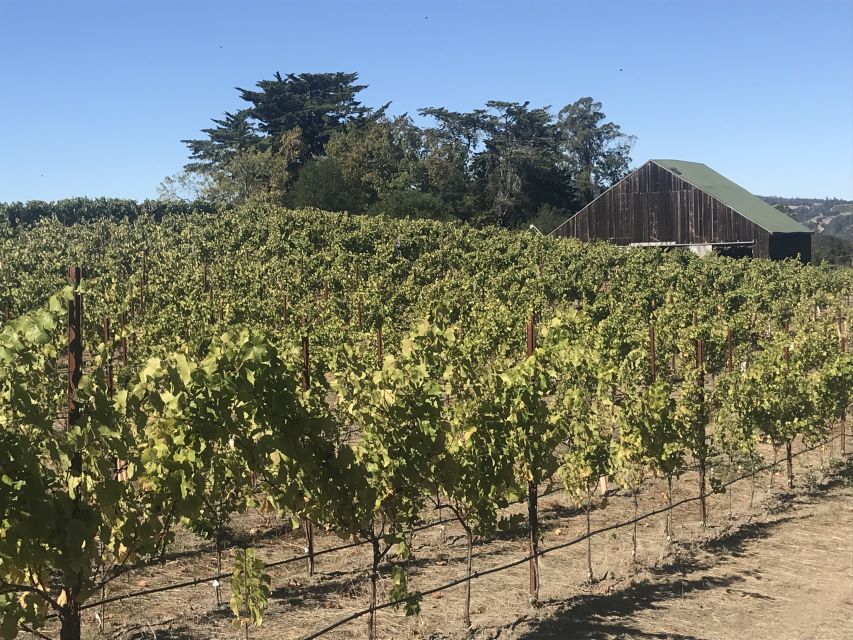 San Francisco: Small-Group Sonoma Wine Tour With Tastings - Lunch Options at Sonoma Square