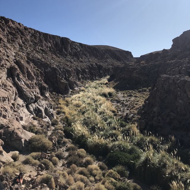 San Pedro De Atacama: Canyon Swimming Pools Trekking Trip - Natural Pools in Atacama Desert