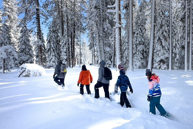 Scenic Snowshoe Adventure in South Lake Tahoe, CA - Cancellation Policy Details