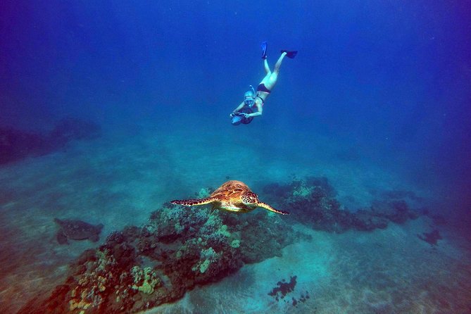 Sea Scooter Snorkeling Tour - Wailea Beach - Conservation Commitment