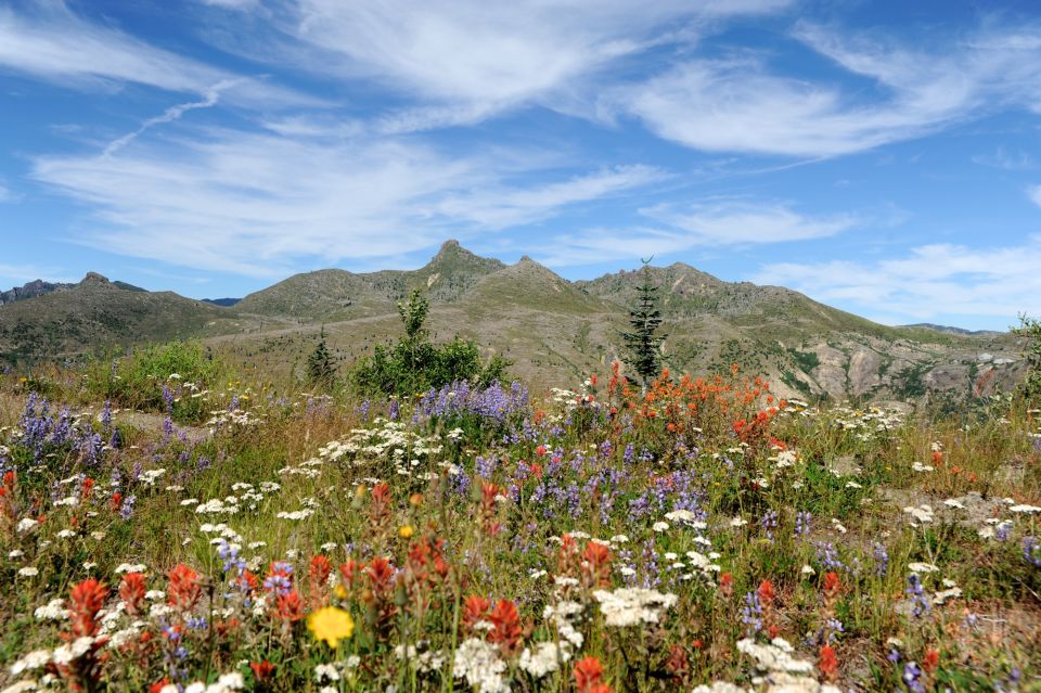 Seattle: Mt. St. Helens National Monument Small Group Tour - Common questions