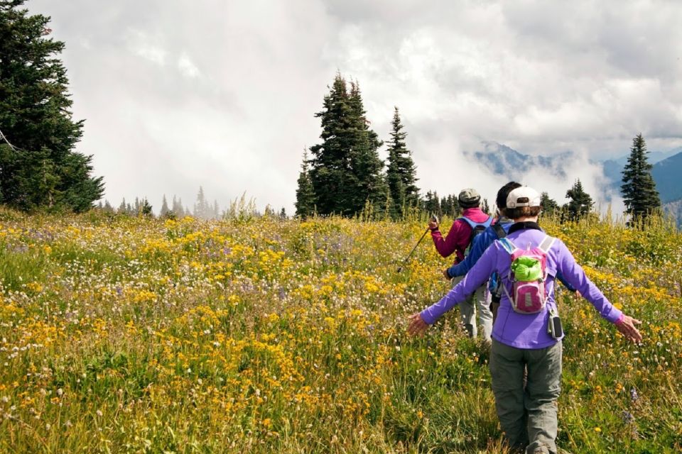 Seattle: Olympic National Park Small-Group Tour - Common questions