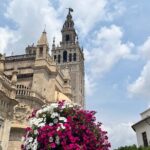 8 seville highlights private walking tour Seville Highlights Private Walking Tour