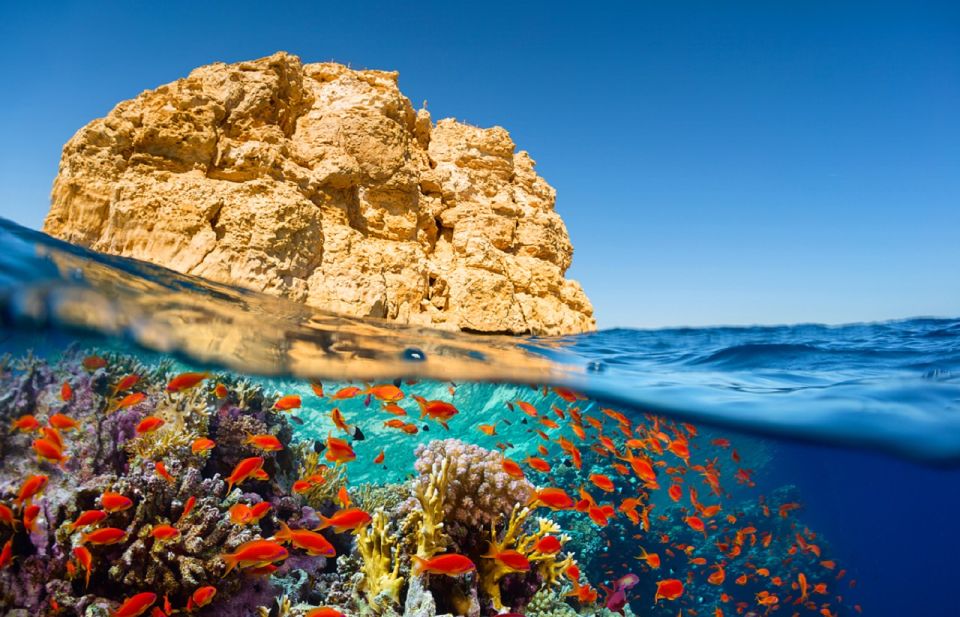 Sharm El Sheikh: Luxury Boat Cruise With Snorkeling & Lunch - Last Words