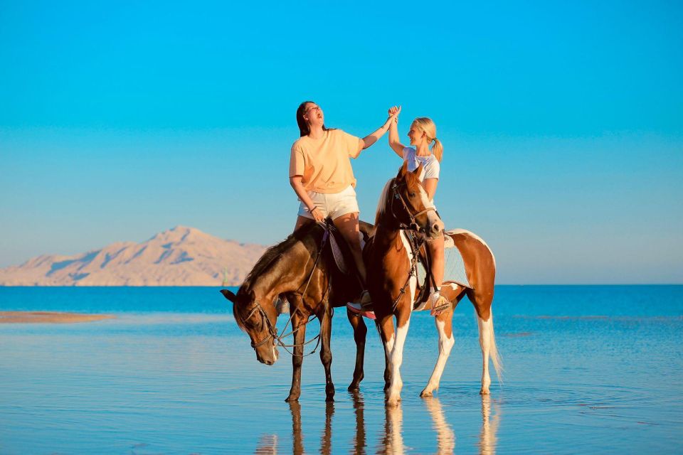 Sharm El Shiekh: Beach and Desert Horse Riding Tour - Last Words