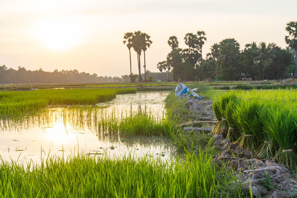 Siem Reap: Afternoon Cooking Class & Village Tour - Last Words