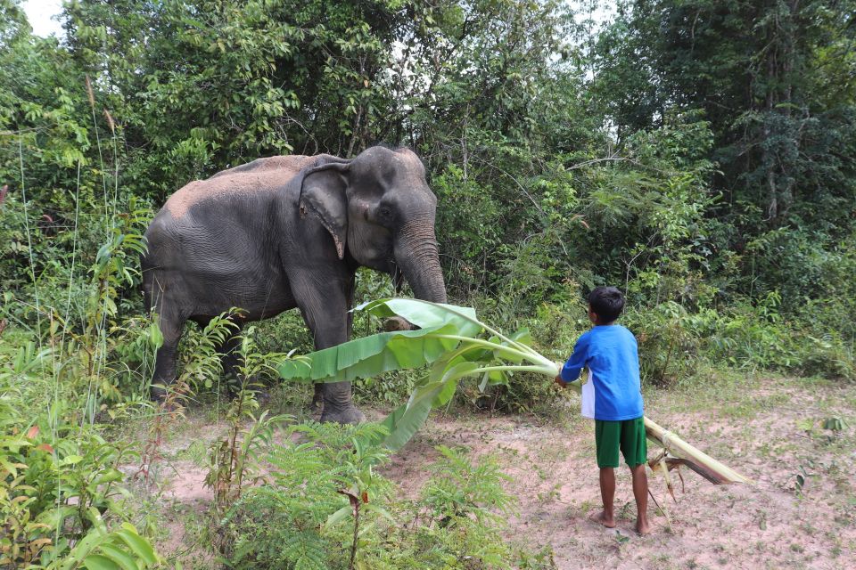Siem Reap: Kulen Elephant Forest & Tonlesap Lake - Tips for Visitors