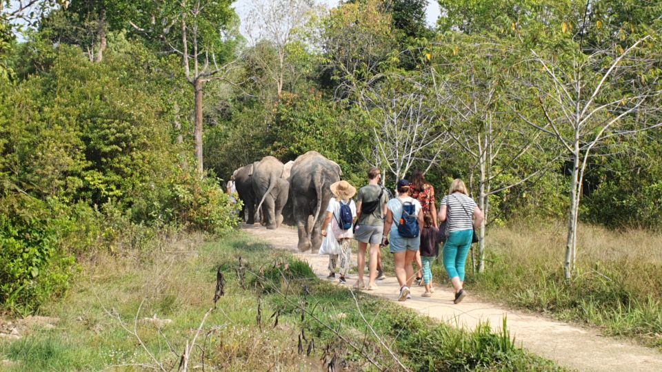 Siem Reap: Small Group Tour of Kulen Elephant Forest - Last Words