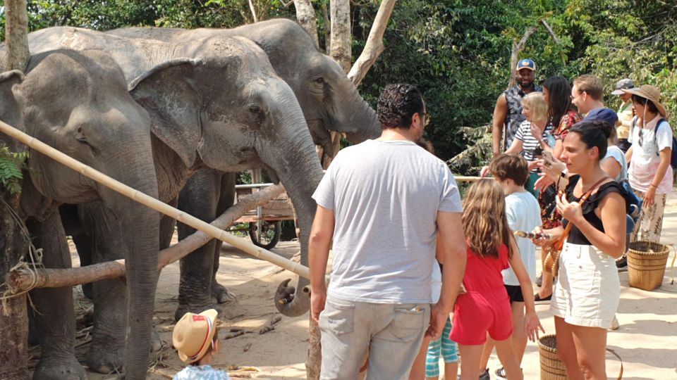 Siem Reap: Small Group Tour of Kulen Elephant Forest - Last Words