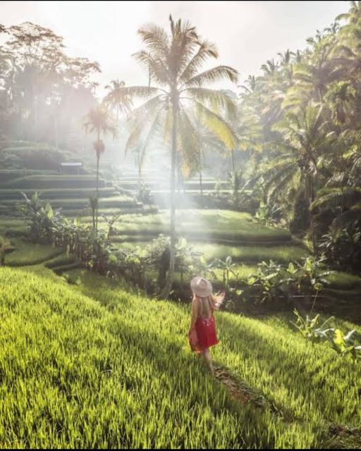 Sightseeing Ubud Barong Dance, Ubud Art Market and Waterfall - Local Experiences and Tour Highlights
