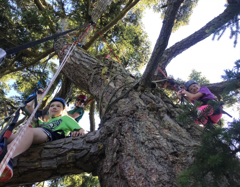 Silver Falls: Old-Growth Tree Climbing Adventure - Common questions