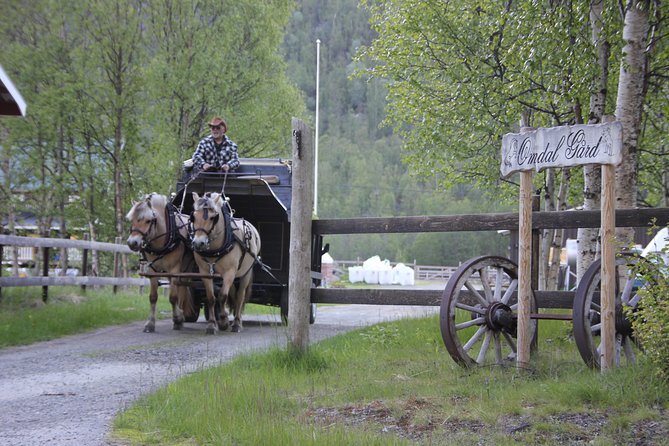 Sleigh Ride W/ Snacks - Experience Arctic Farm Life - Common questions