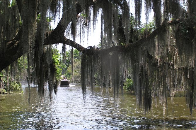 Small-Group Bayou Airboat Ride With Transport From New Orleans - Common questions