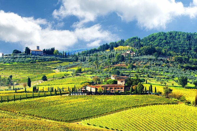 Small Group Pisa Day Trip to Siena and San Gimignano Including Wine Tasting - Common questions