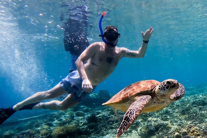 Snorkeling With Turtle and Statue in Gilis - Common questions