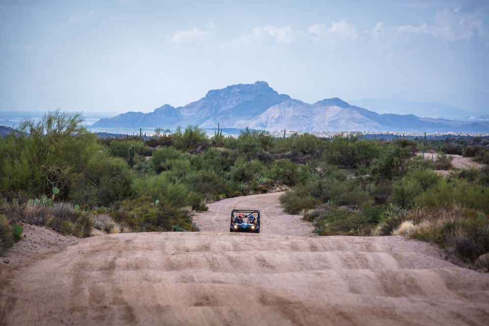 Sonoran Desert: Guided 2-Hour UTV Adventure - Common questions