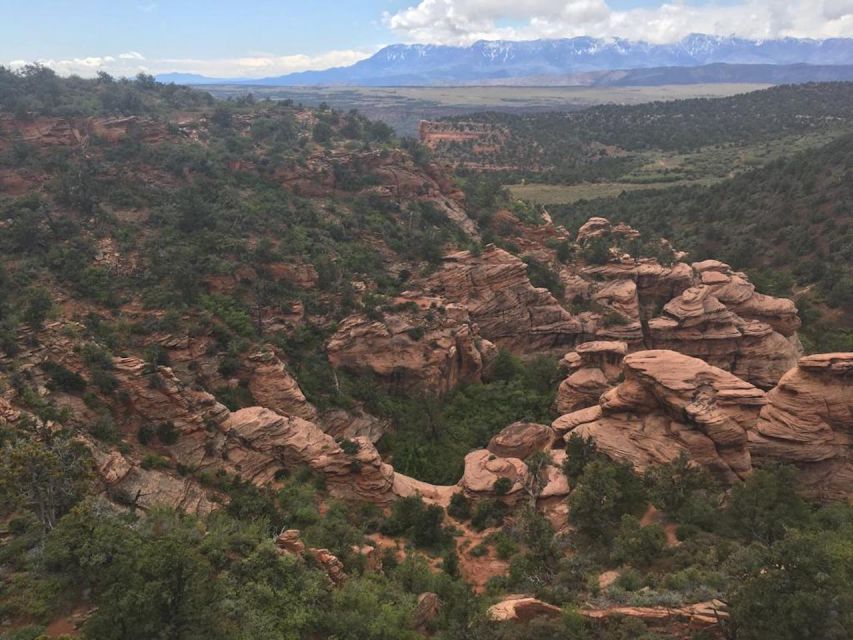 Springdale: Half-Day Canyoneering Experience - Last Words