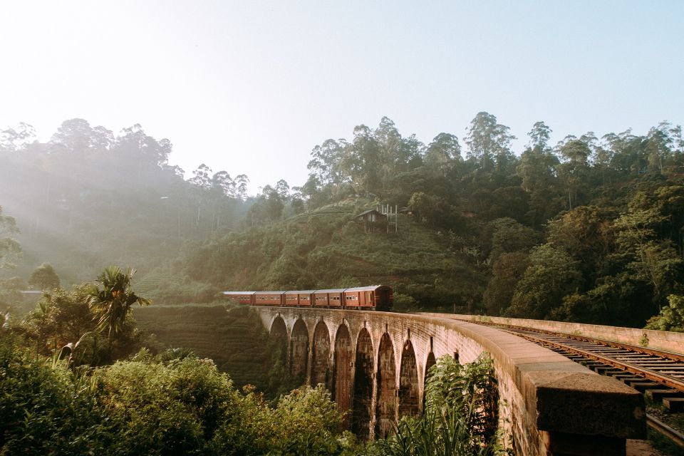 Sri Lanka Hill Country Train Trip, Kandy, Nuwara Eliya 2-Day - Satisfaction Ratings