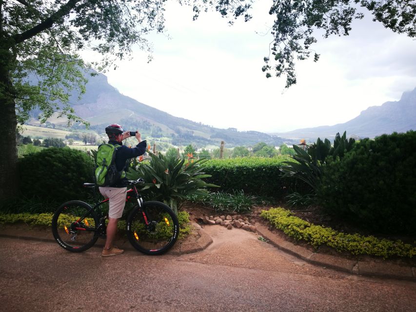 Stellenbosch: Stellenbosch Private E-Bike & Wine Tour - Customer Feedback