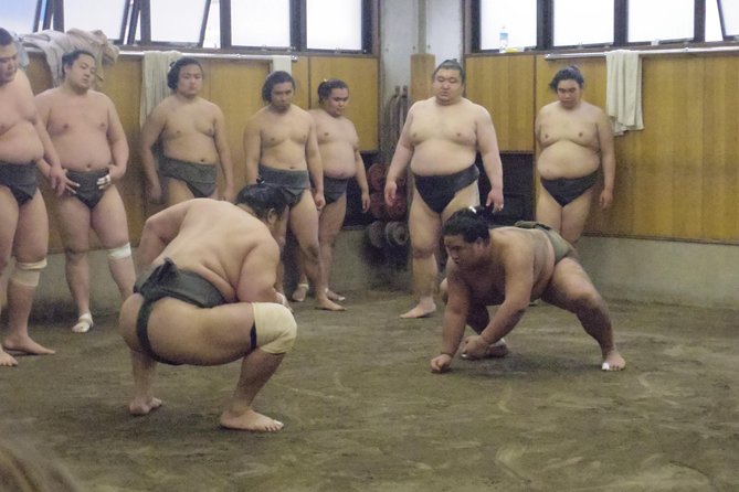 Sumo Morning Practice Tour at Stable in Tokyo - Rave Reviews