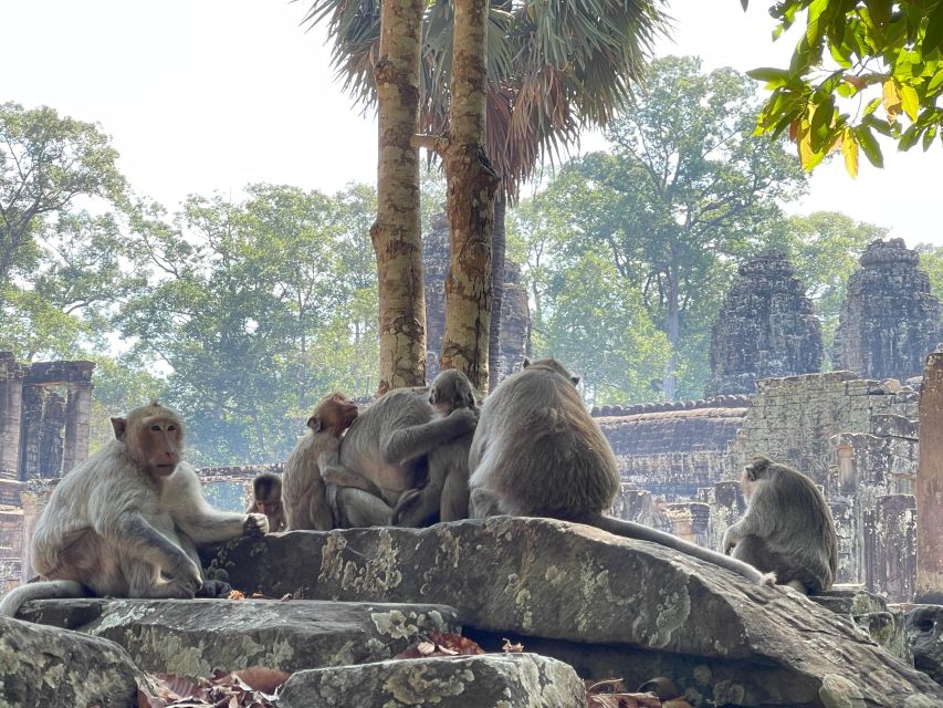 Sunrise Shared Tour in Angkor From Siem Reap - Last Words