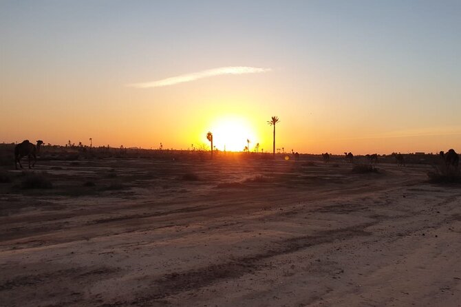 Sunset Camel Ride Marrakech Palmeraie - Customized Souvenirs and Tea Service