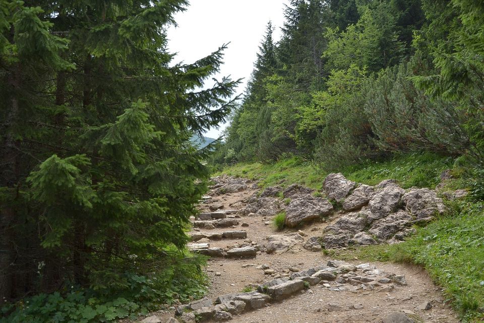 Tatras Mountains: Full-Day Hiking Tour From Krakow - Common questions