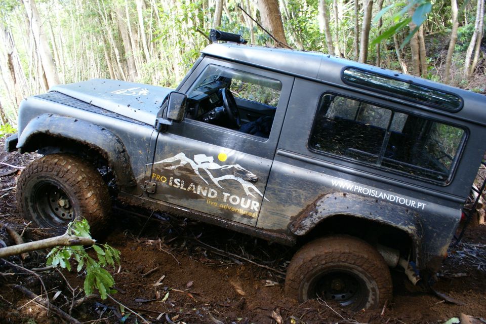Terceira Island: Full-Day Mud Adventure & Traditional Lunch - Common questions